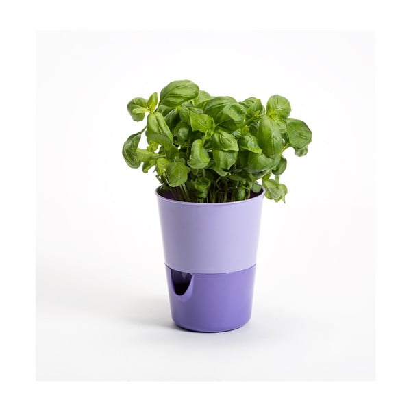 Sivkasto vijolična samozalivalni lonček za rastline Plastia Rosmarin