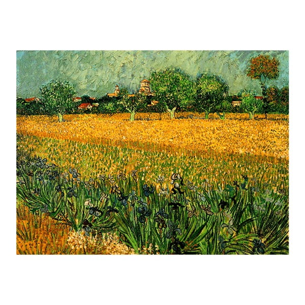 Reprodukcija slike Vincent van Gogh - View of arles with irises in the foreground, 40 x 30 cm