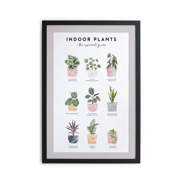 Stenska slika v okvirju Really Nice Things Indoor Plants, 30 x 40 cm