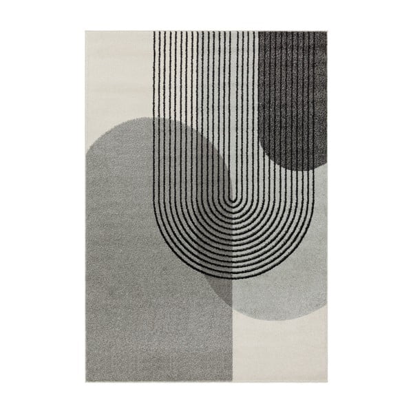 Siva preproga 230x160 cm Muse - Asiatic Carpets
