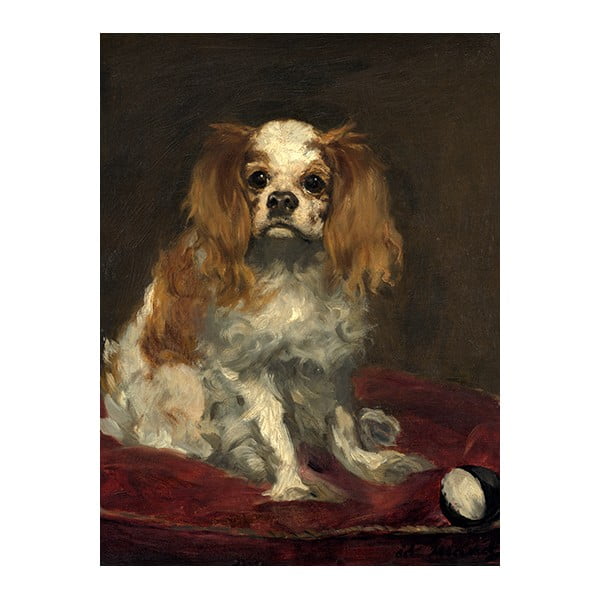 Reprodukcija slike Édouard Manet - A King Charles Spaniel, 40 x 30 cm