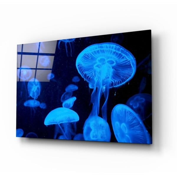 Steklena slika Insigne Jellyfish